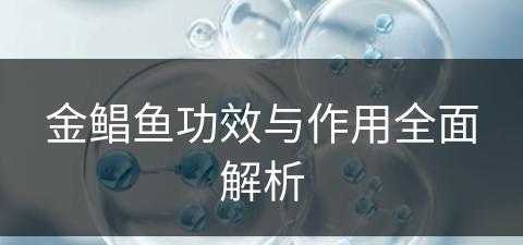 金鲳鱼功效与作用全面解析